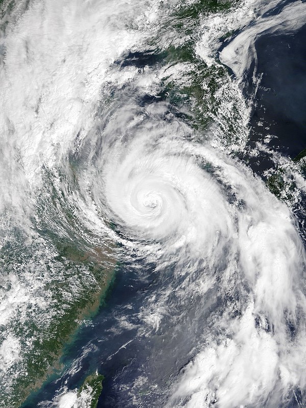 2020년 제8호 태풍 '바비'. 지난 8월 서해로 북상했고 남쪽에서 제주도 서쪽까지 올라오는 동안 계속 강도가 강해졌다. (출처: 위키미디어 코먼스)