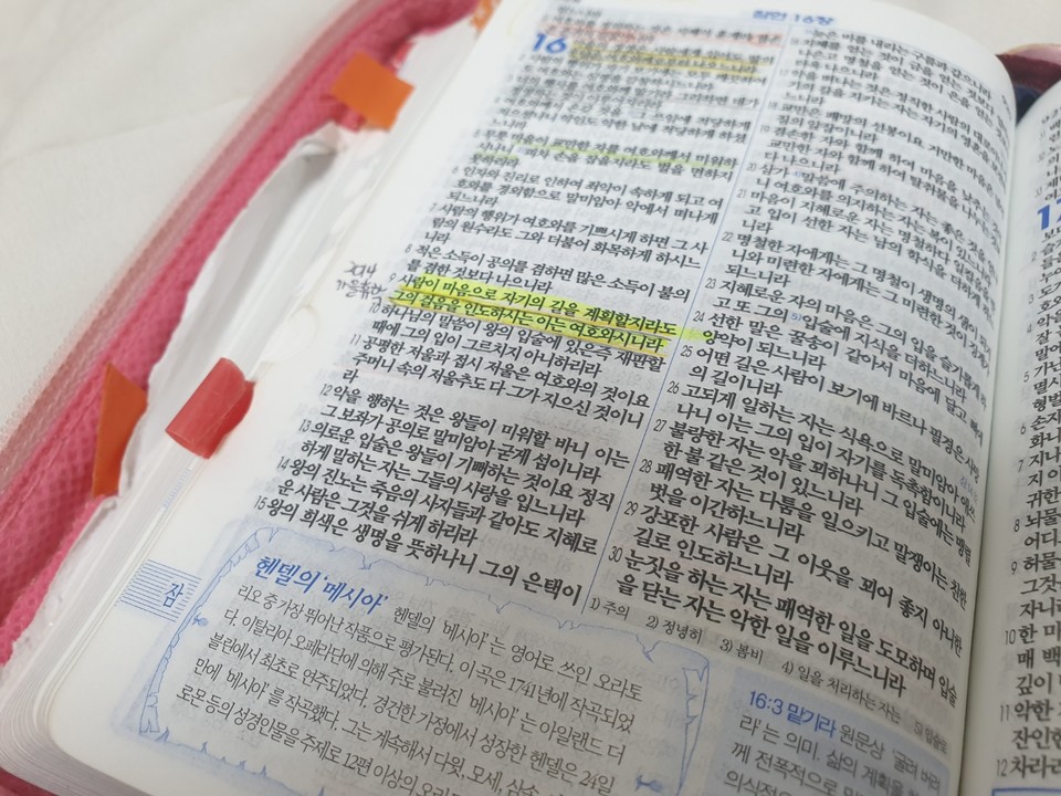 사진: 전해정 제공<br>