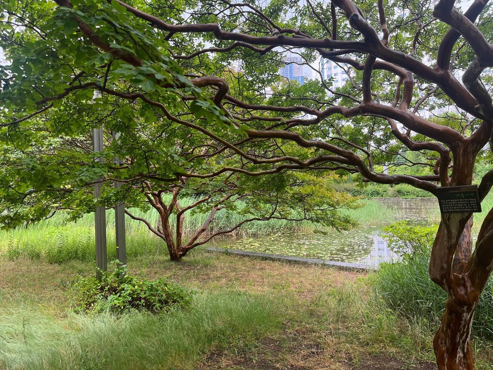 이하 사진: 필자 제공