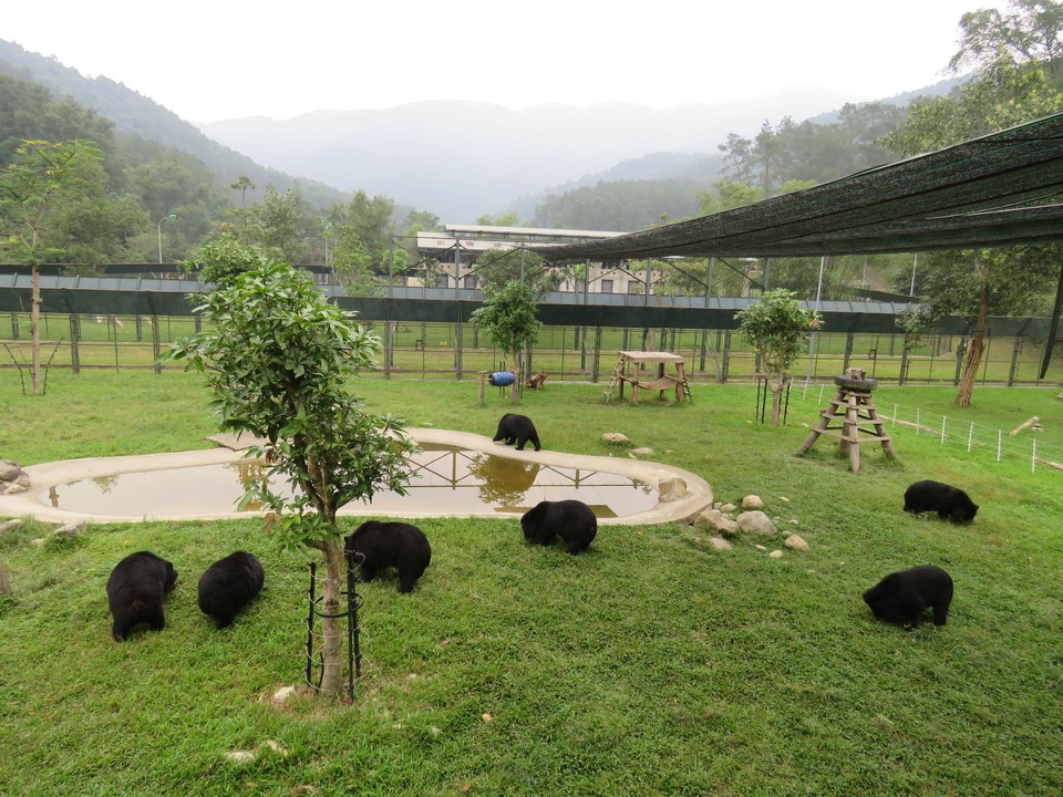 동아시아 지역의 한 생츄어리 모습. (사진: 곰 보금자리 프로젝트 제공)