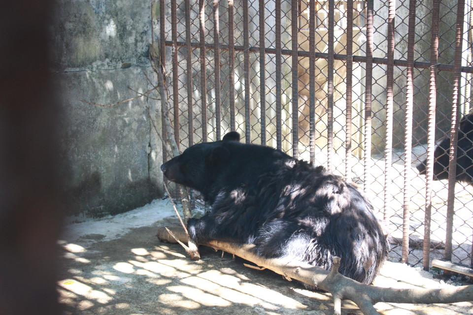 ⓒ복음과상황 이유진