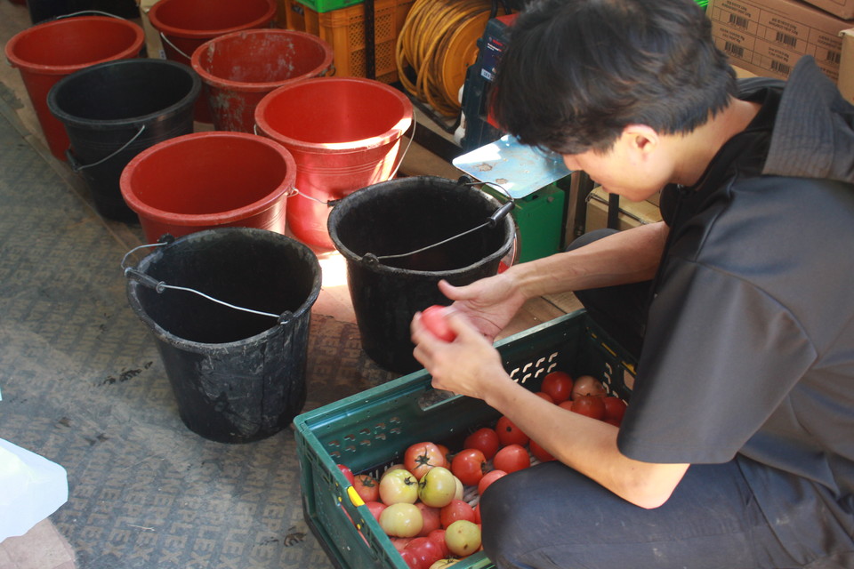 ⓒ복음과상황 이유진 