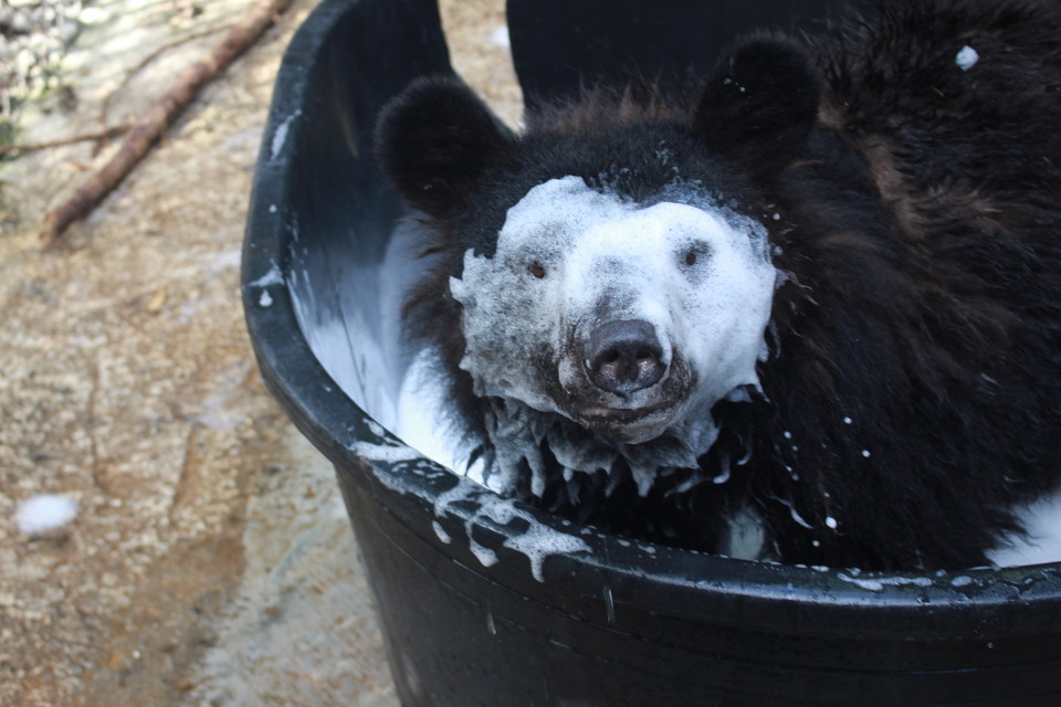 ⓒ복음과상황 이유진