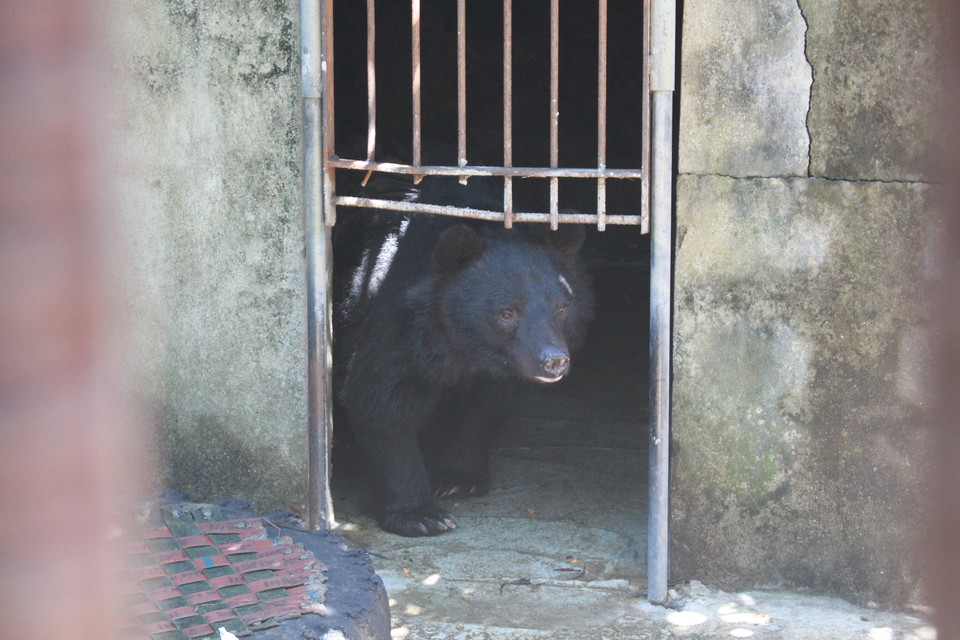 ⓒ복음과상황 이유진