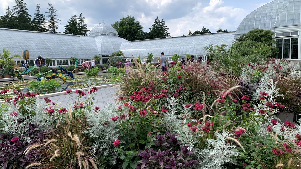 뉴욕식물원 컨서버토리 중정에 조성된 디스플레이 가든에는 하루에 두 번 물을 준다. (이하 사진: 필자 제공)