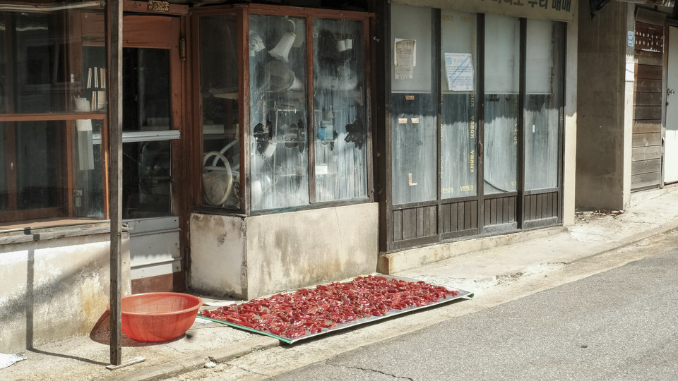 이하 사진: 필자 제공 <br>