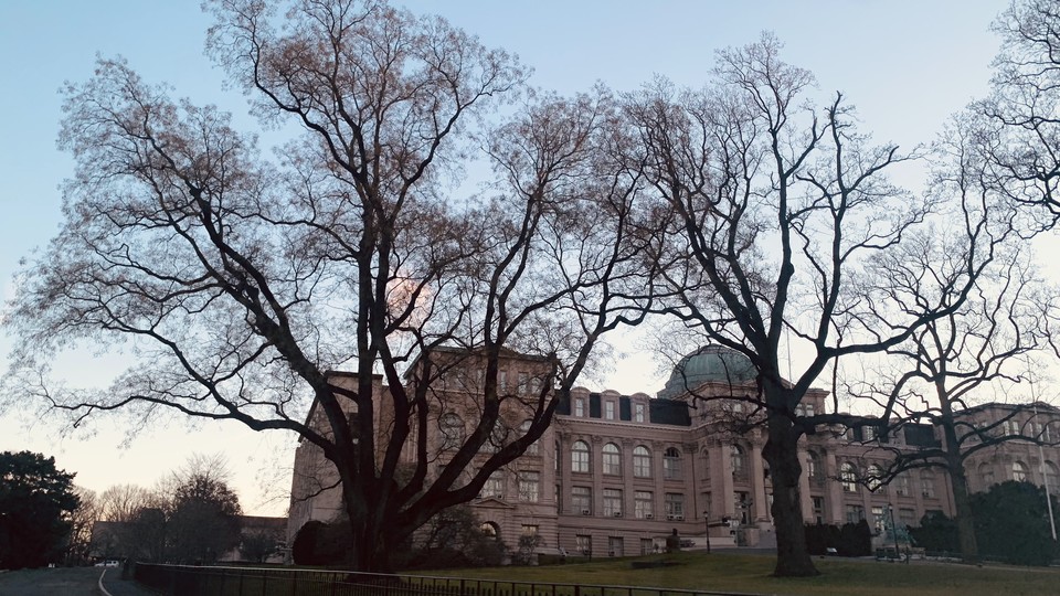 뉴욕식물원 도서관을 배경으로 서있는 회화나무(<em>Styphnolobium japonicum</em>, 왼쪽)와 백합나무(<em>Liriodendron tulipifera</em>)의 겨울 풍경. 건물도 나무들도 100년 넘게 이 자리를 지키고 있다. (이하 사진: 필자 제공)&nbsp;