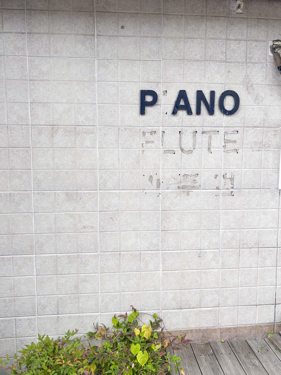 사진: 필자 제공&nbsp;<br>