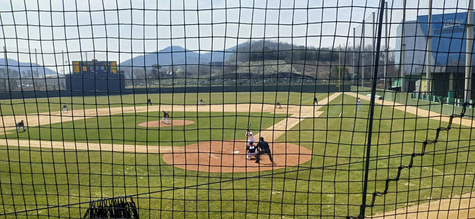 사진: 필자 제공