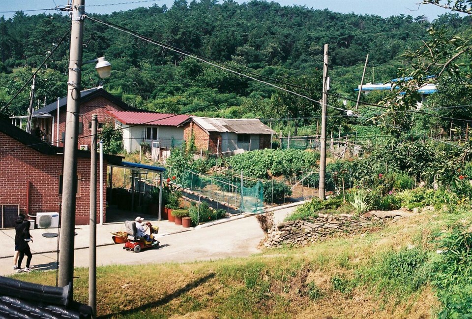 사진: 정진욱 제공<br>