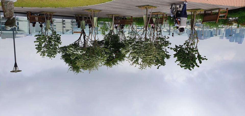 이하 사진: 필자 제공<br>