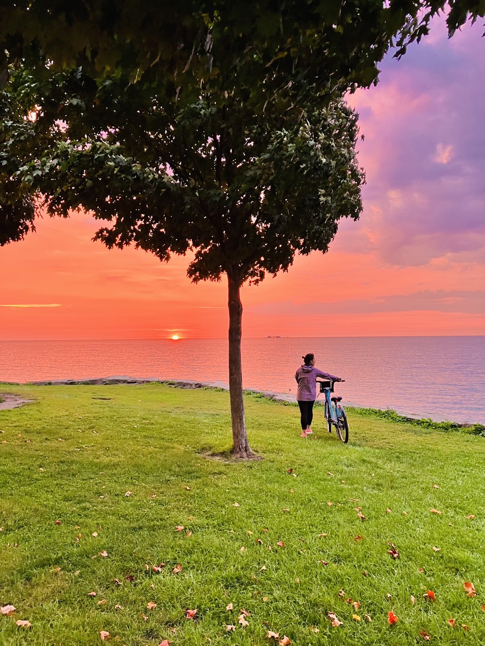 이하 사진: 인터뷰이 제공<br>