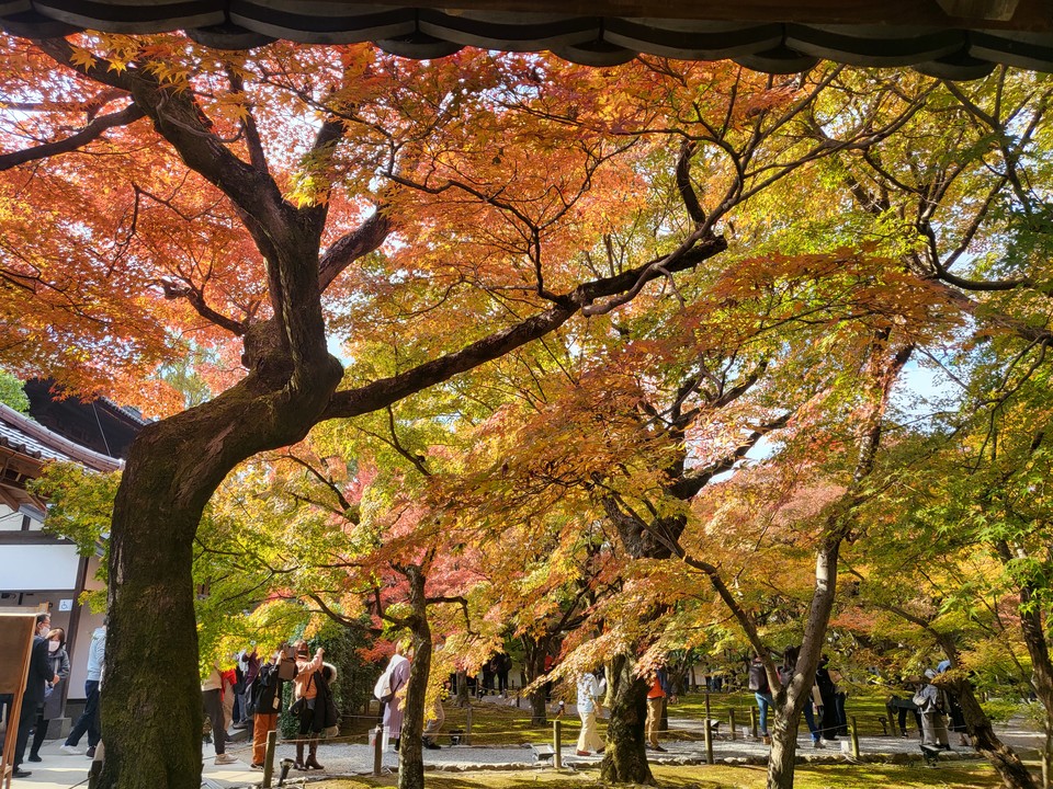 이하 사진: 인터뷰이 제공<br>