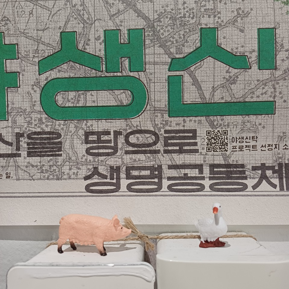 사진: 필자 제공